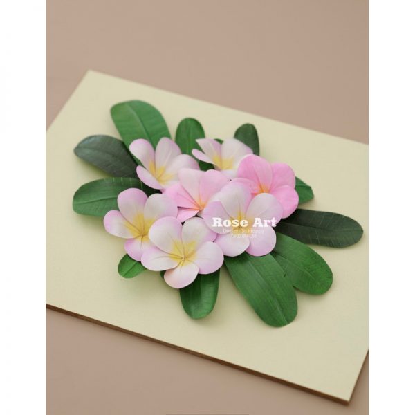 Tranh Hoa Giấy Handmade Trang Trí Tranh Hoa Sứ Hồng Size 22x27x4cm3